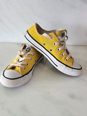 Converse Chuck Taylor All Star Low-Top Sneaker
